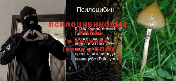 дурь Абинск