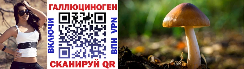 Псилоцибиновые грибы GOLDEN TEACHER  Зея 